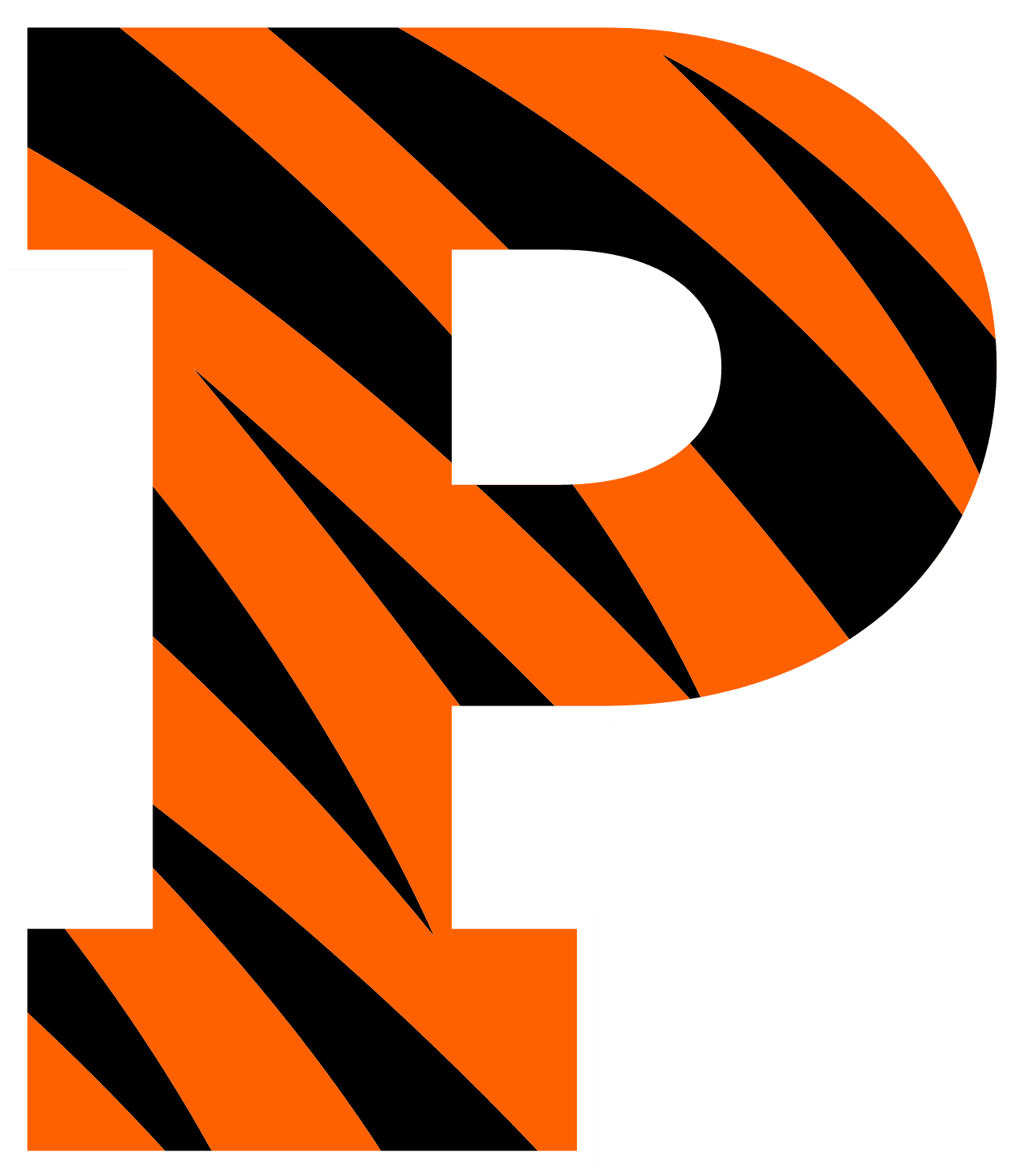 Princeton University